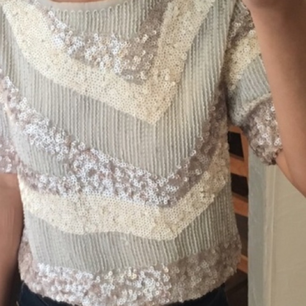 H&M Crop Sequined Top in Blush
